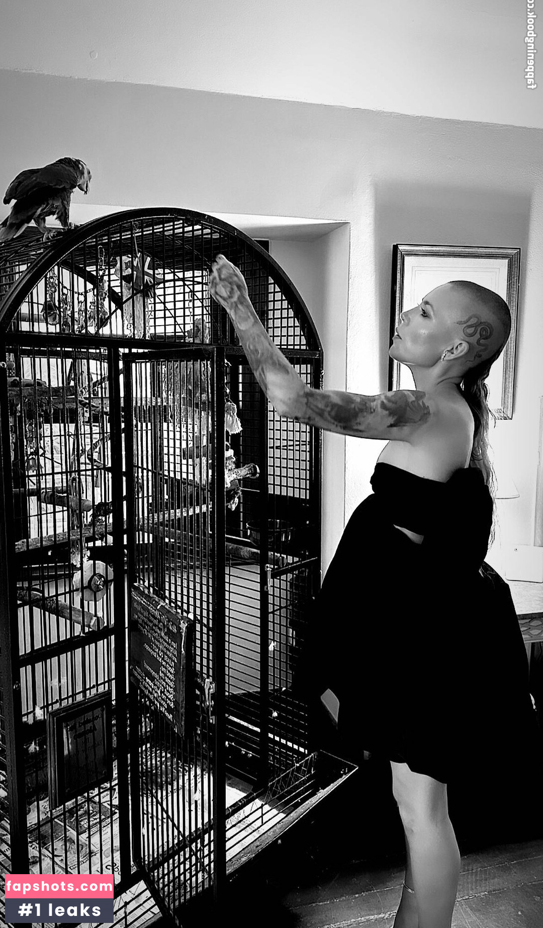 Skylar Grey gallery photo #8