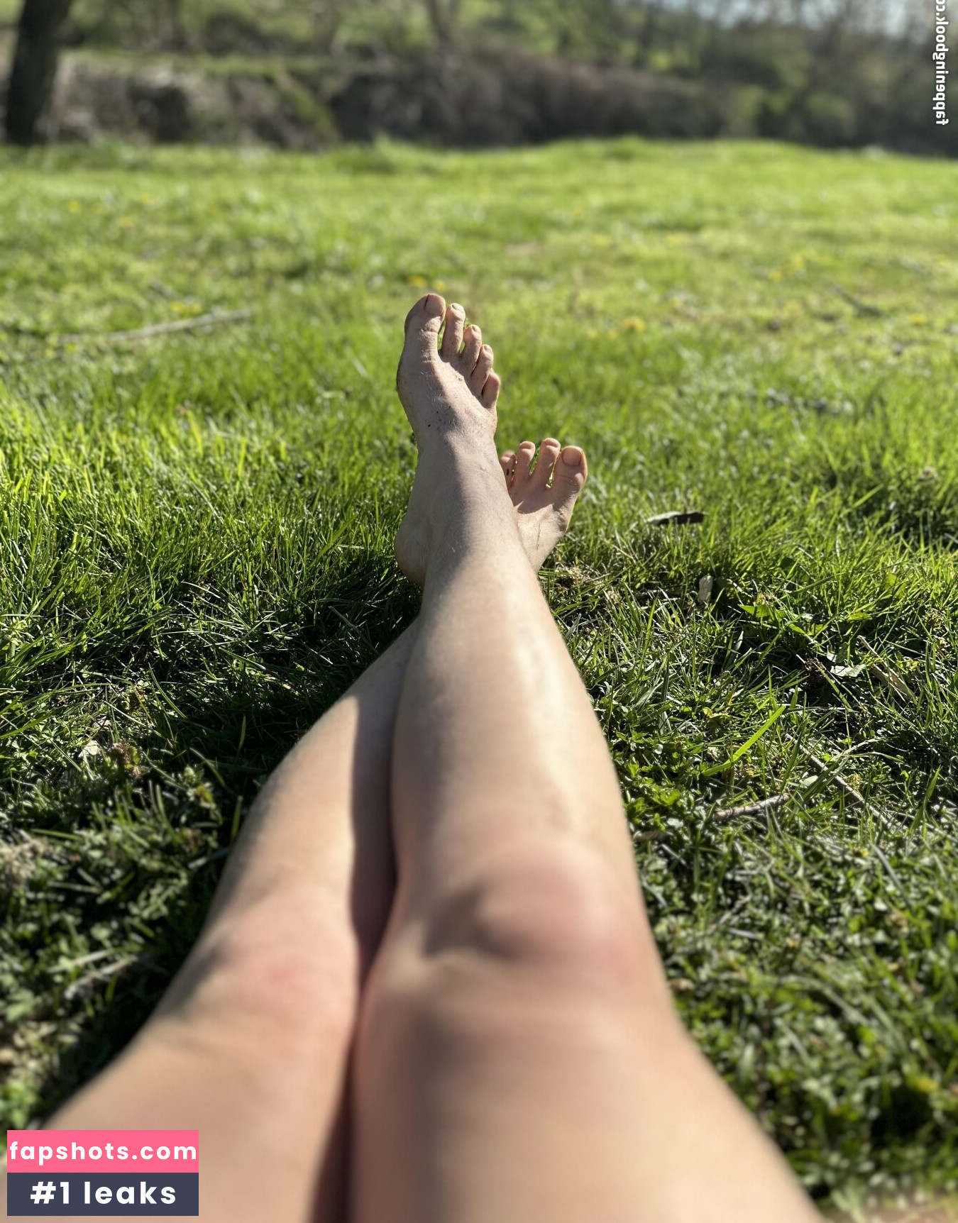 Skyra Fox gallery photo #3