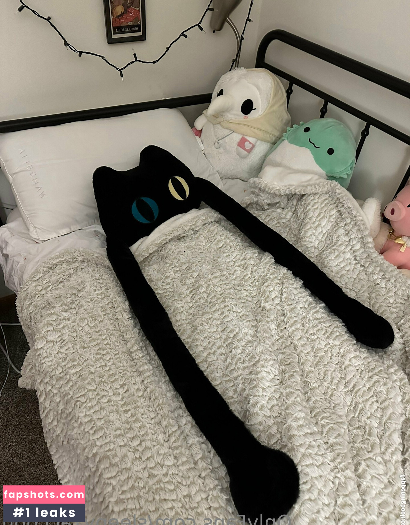 sleepy.raccoon gallery photo #3