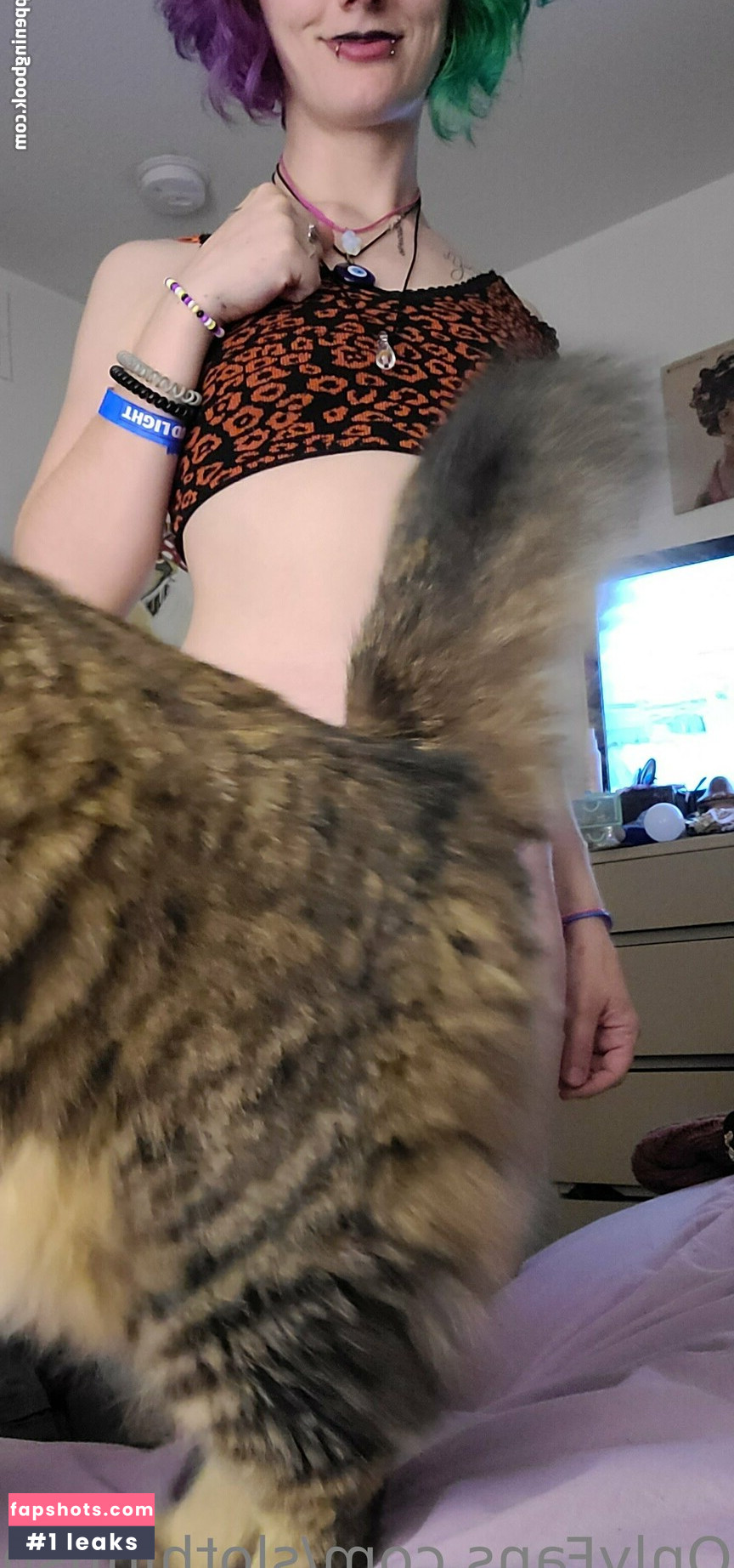 sloppysloth gallery photo #4