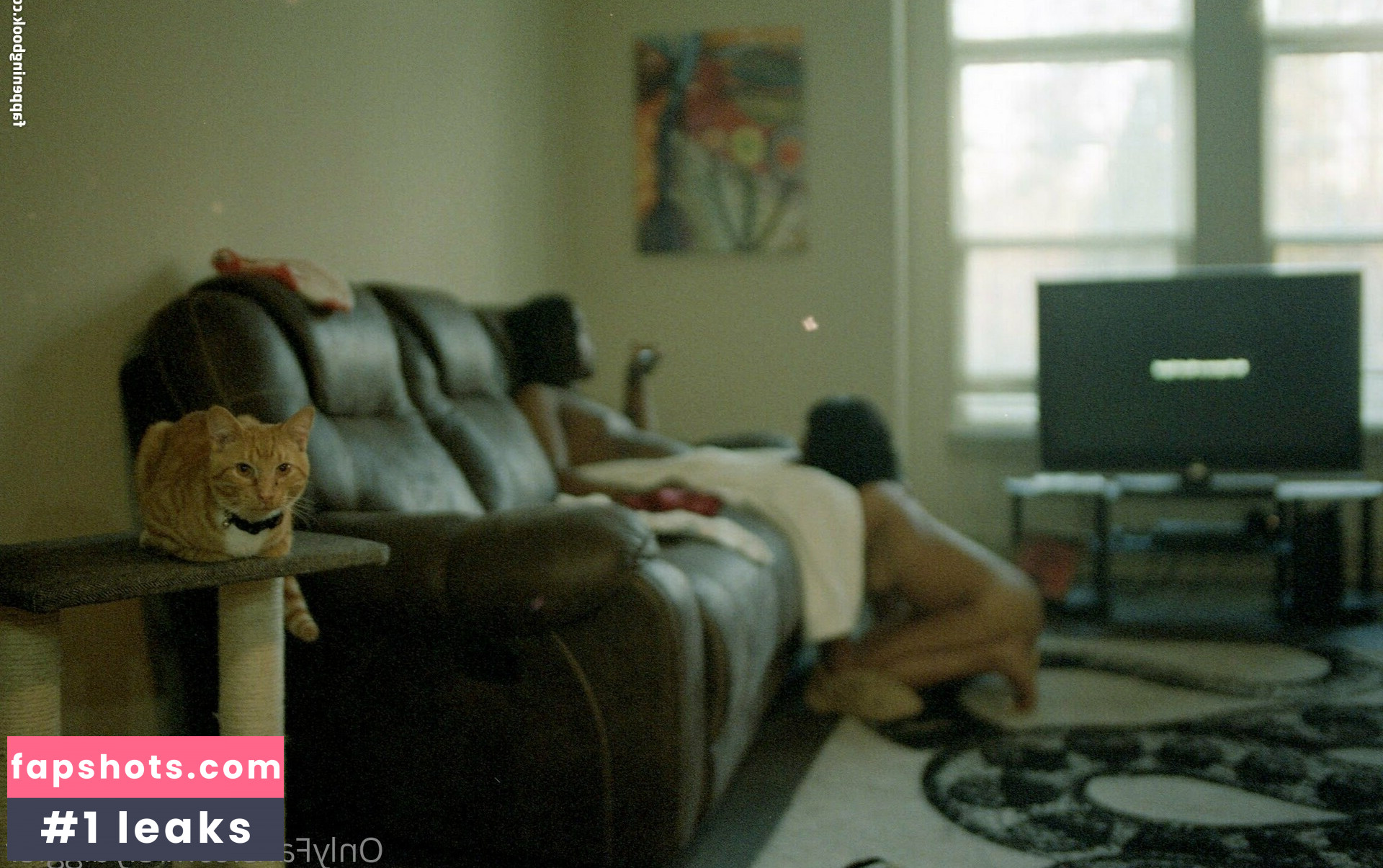 slydiggler gallery photo #35