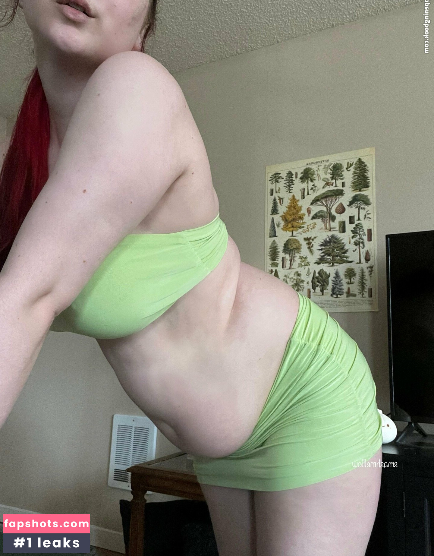 smashmelllow gallery photo #42