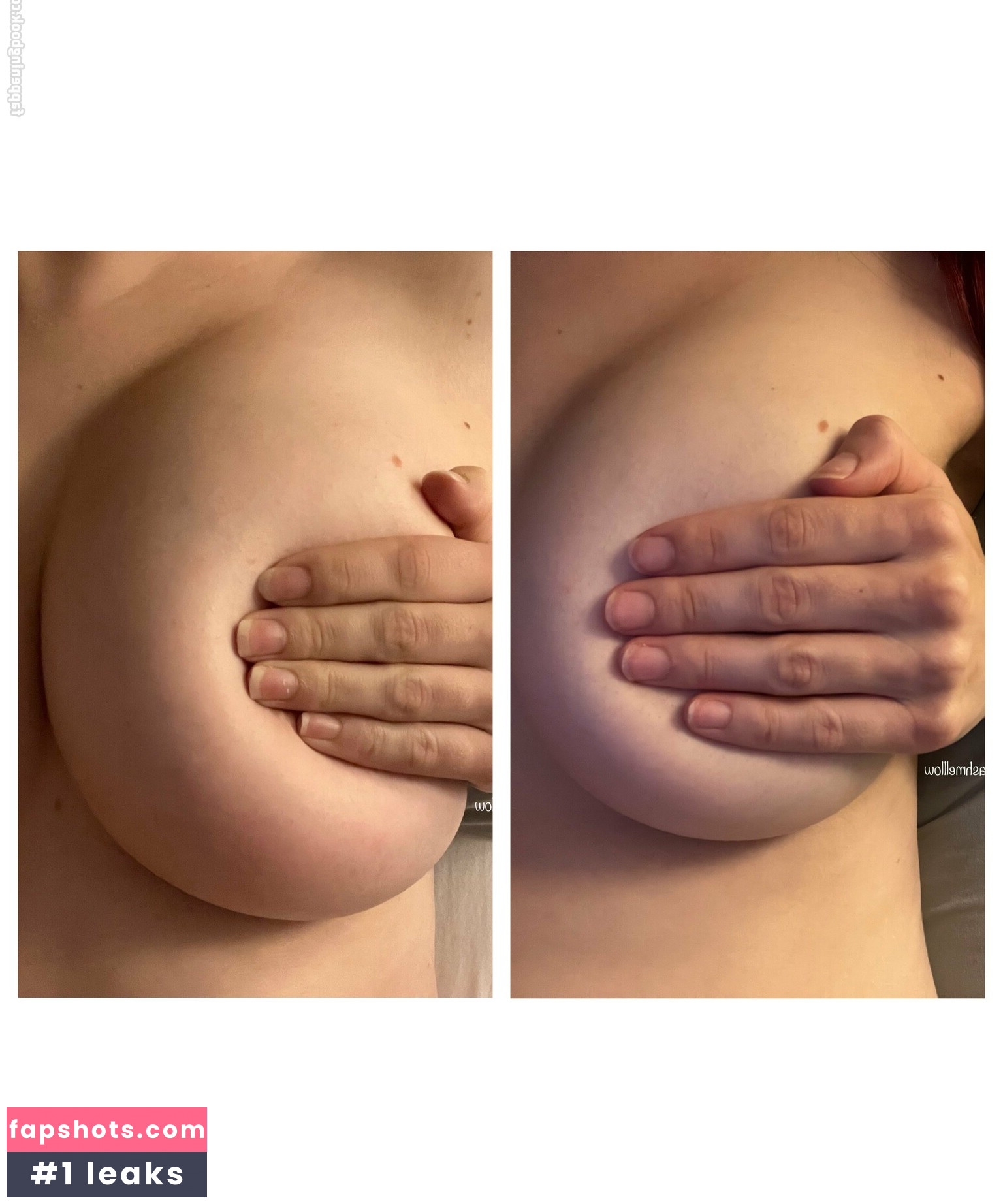 smashmelllow gallery photo #56