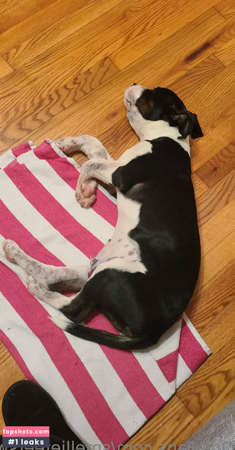 smelliefeetsweetie gallery photo #42