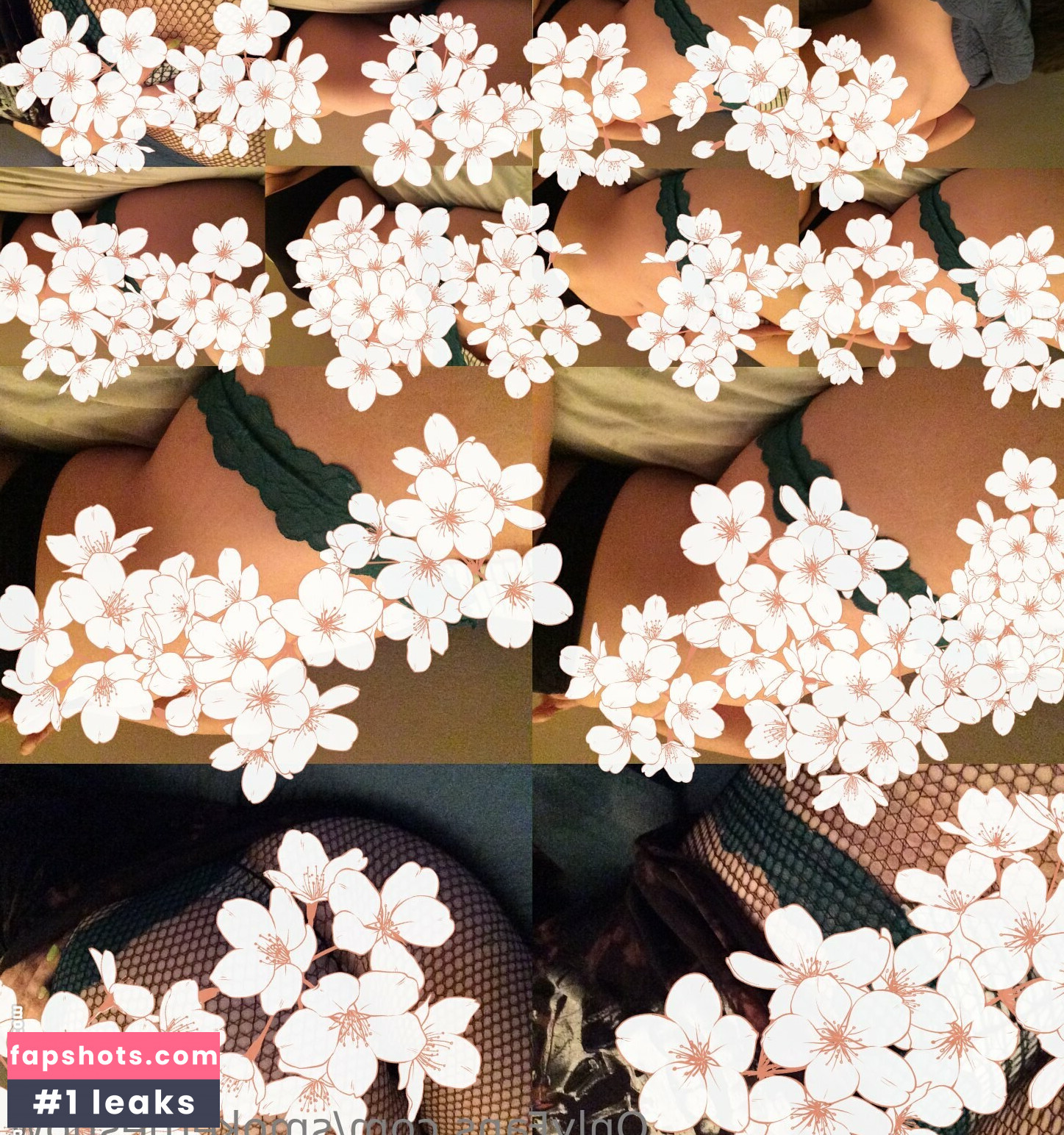 Smoketheshow gallery photo #22