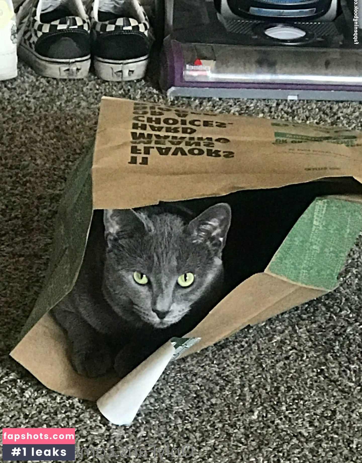 sn0w333 gallery photo #45