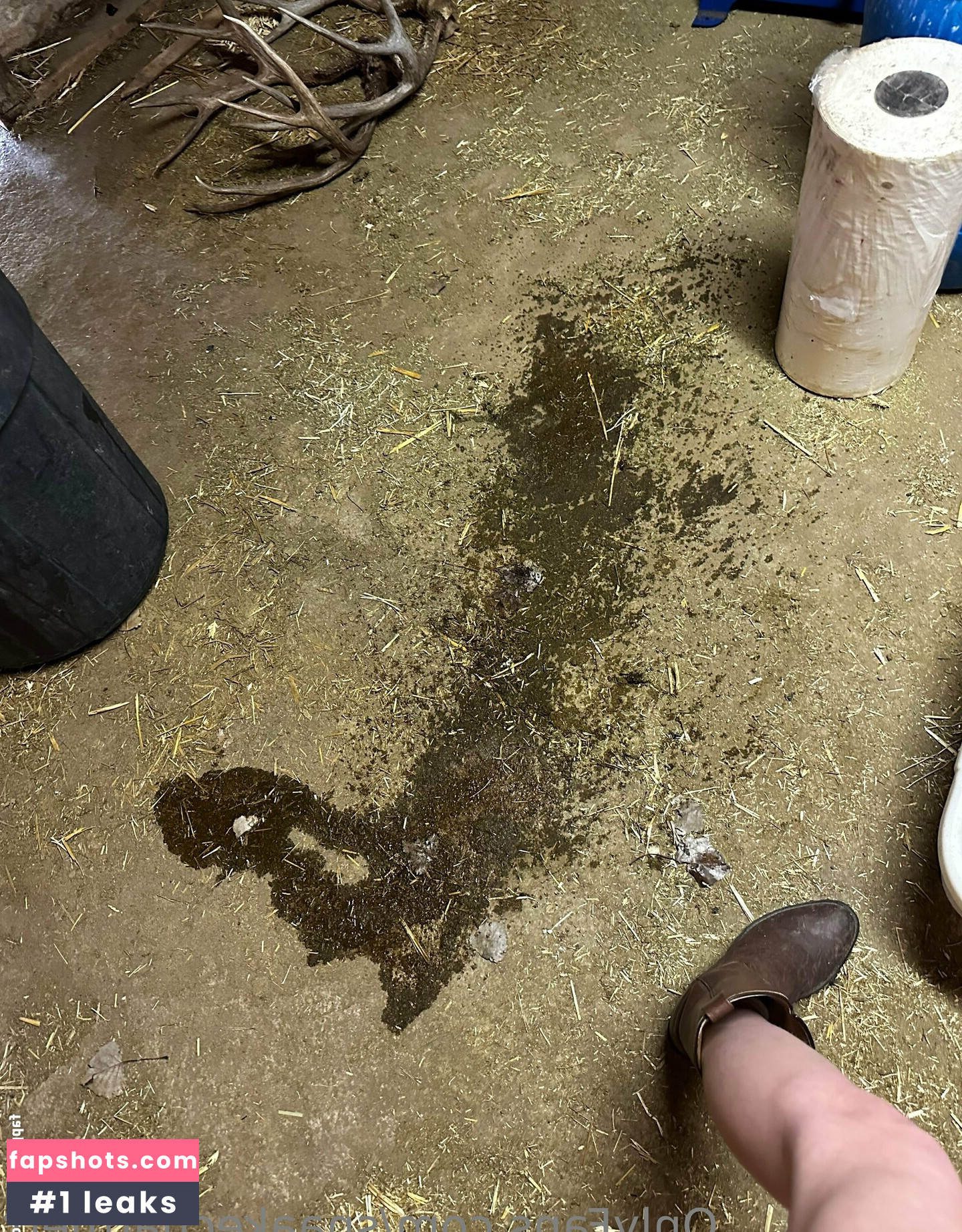 snaakecharmerr gallery photo #16