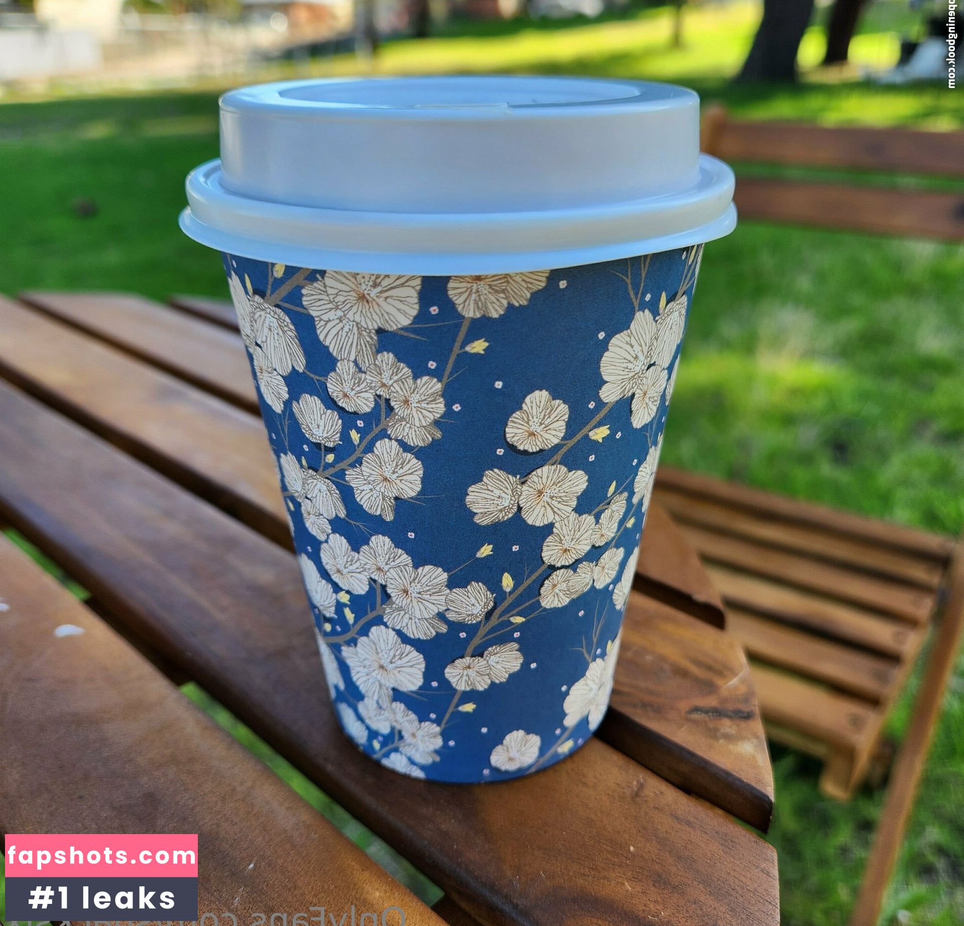 snacksixfree gallery photo #14