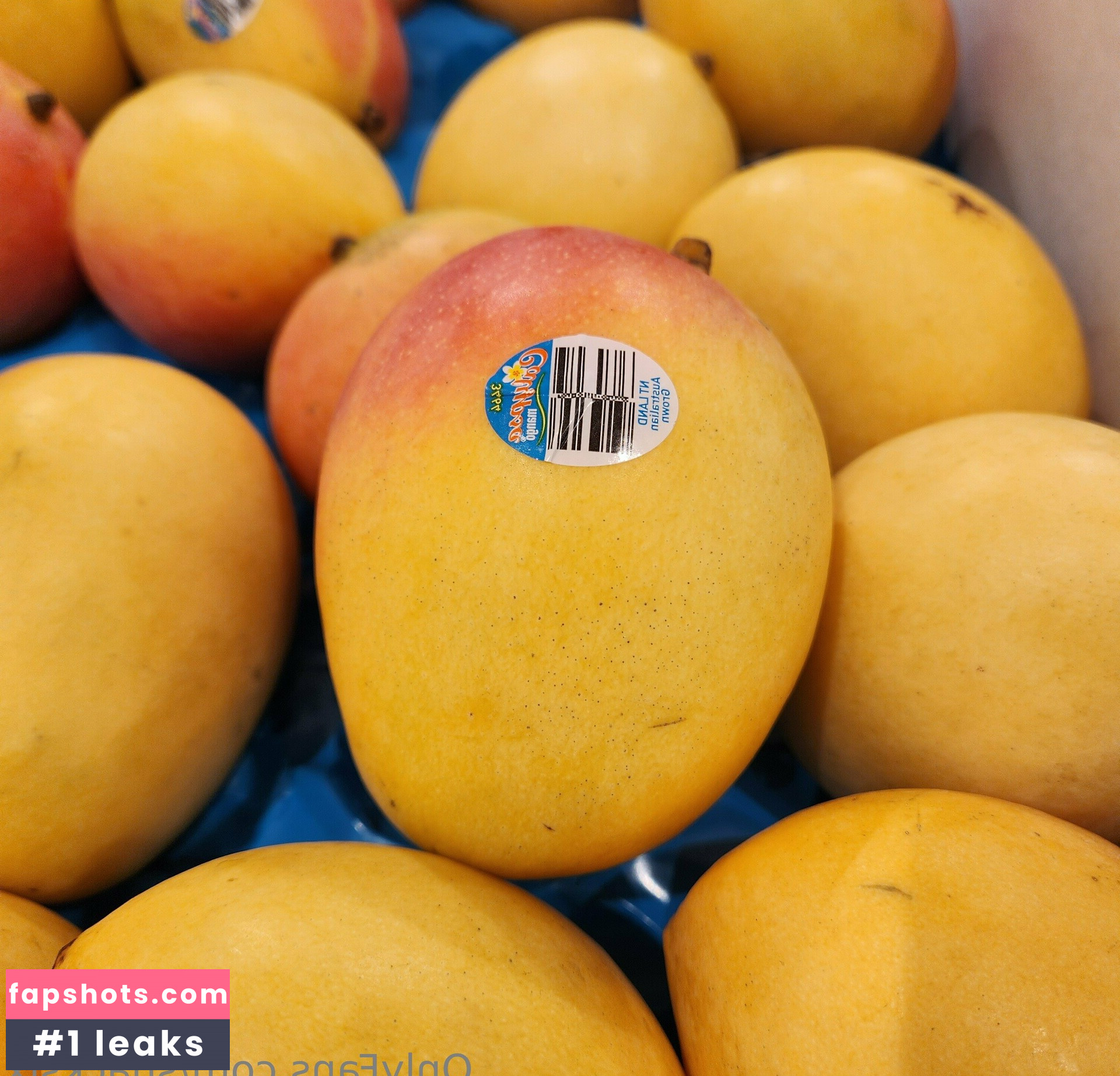 snacksixfree gallery photo #16