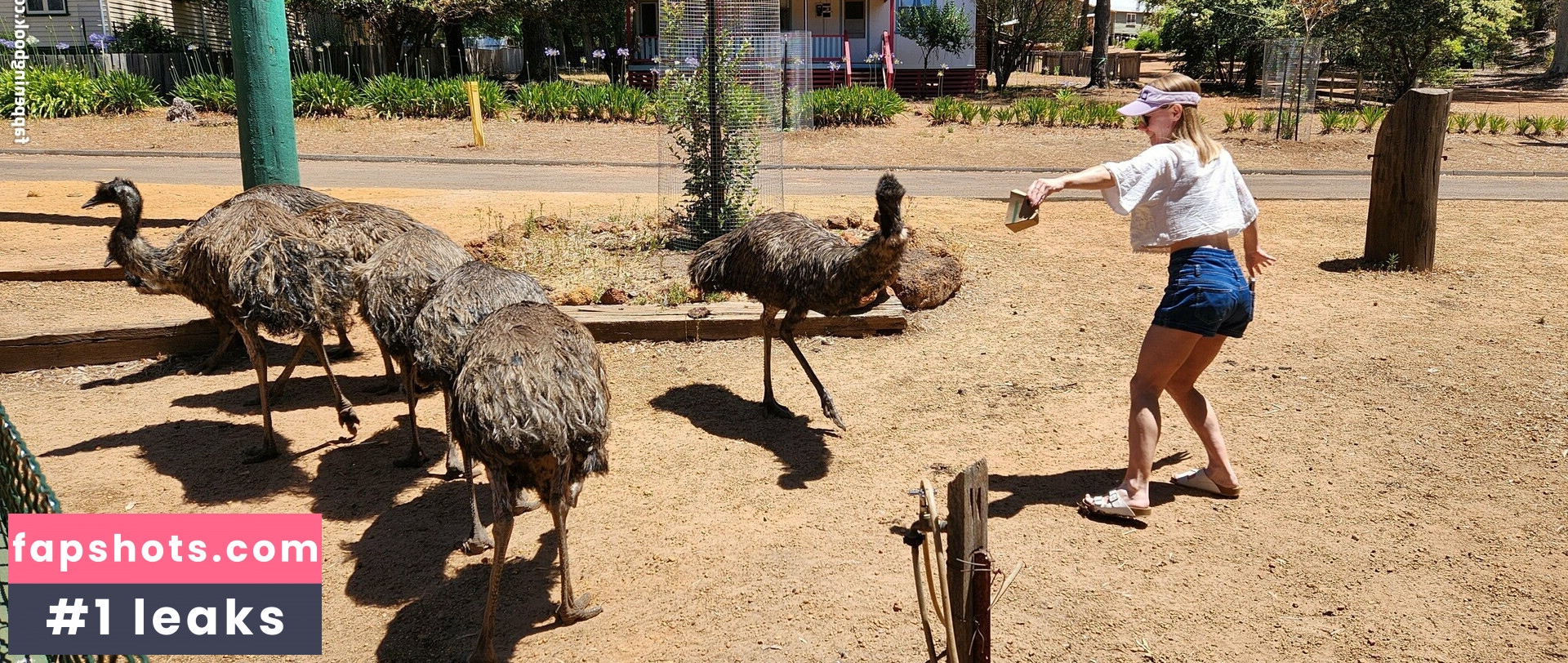 snacksixfree gallery photo #9