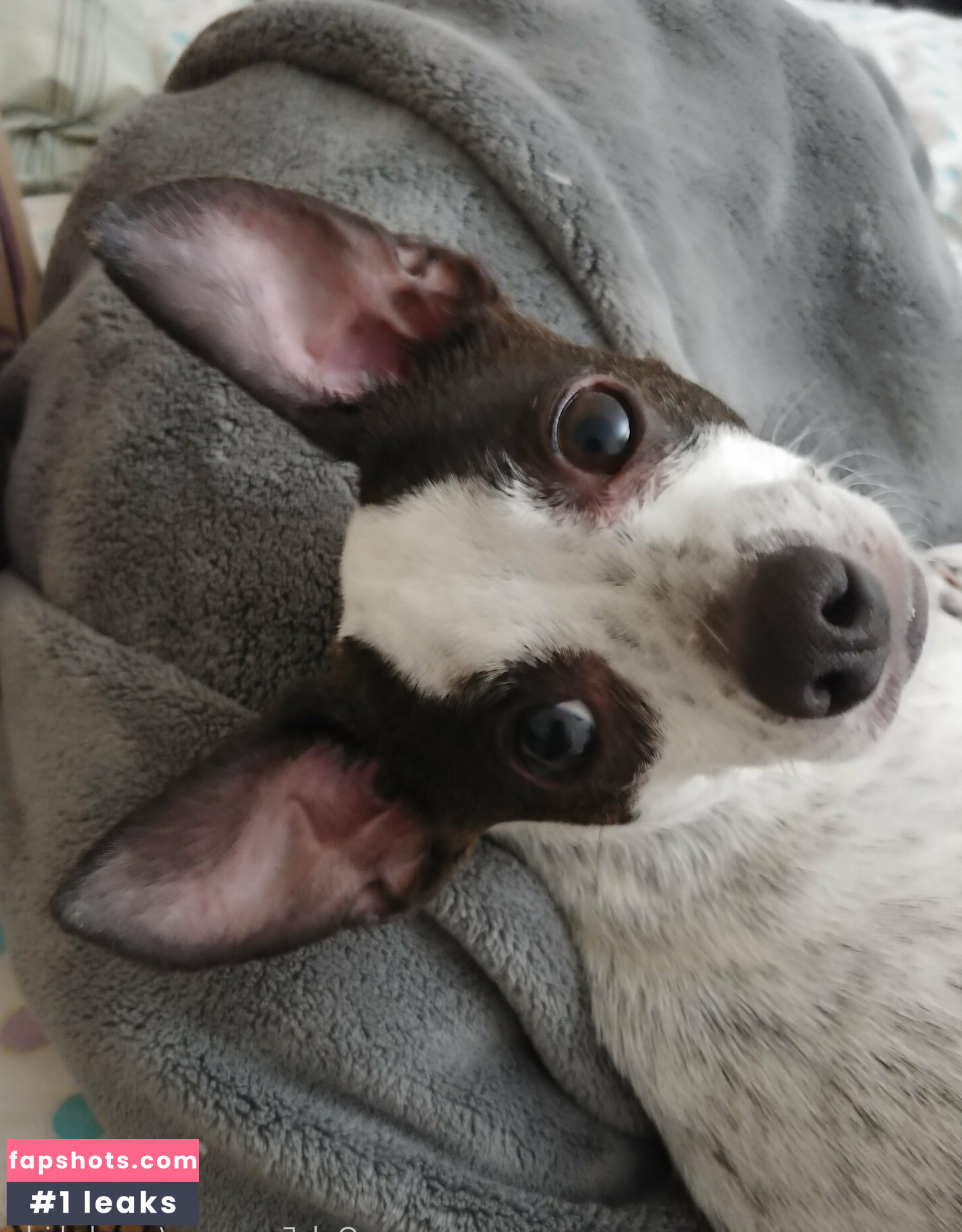 sneakykirby Nahé úniky fotek pouze od fanoušků #12 - Fapshots