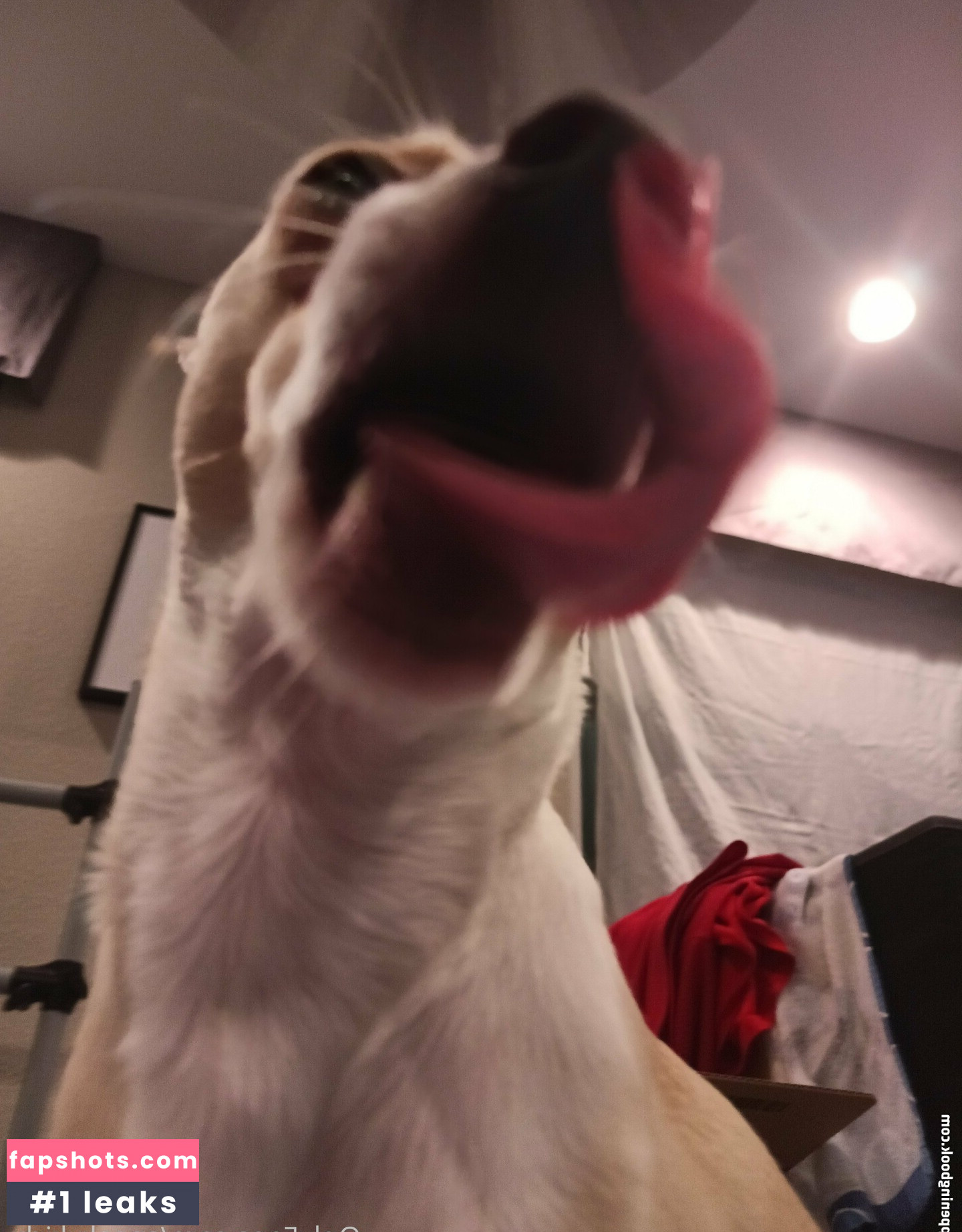 sneakykirby Nahé úniky fotek pouze od fanoušků #3 - Fapshots