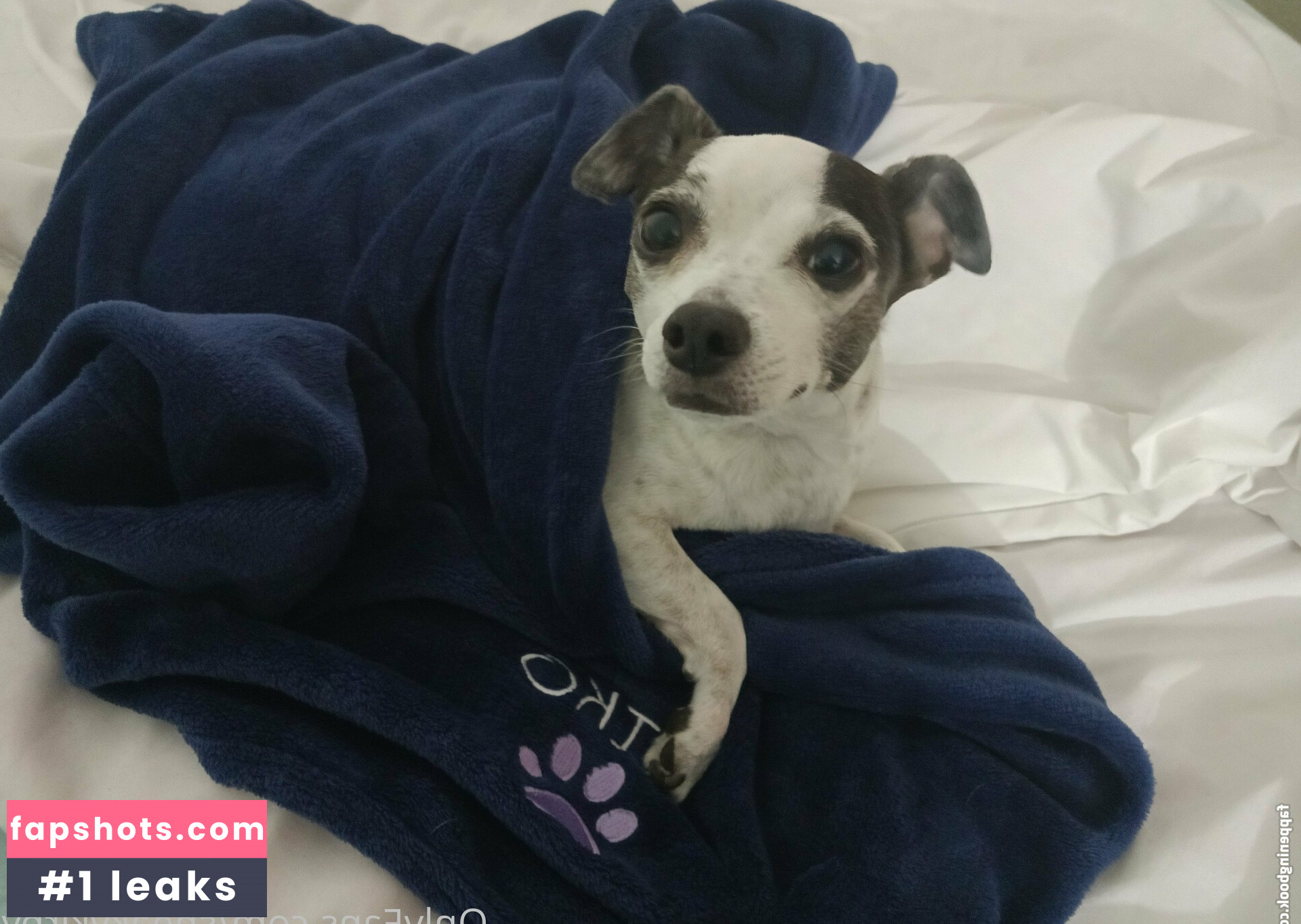 sneakykirby Nahé úniky fotek pouze od fanoušků #4 - Fapshots