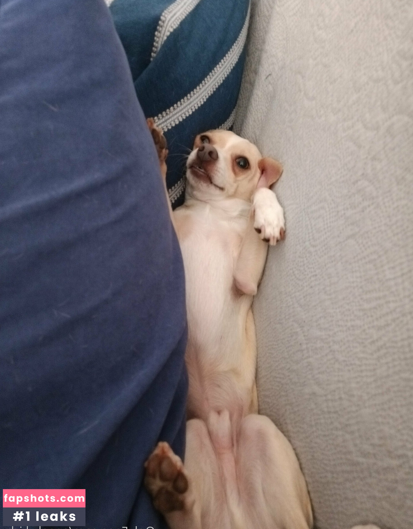 sneakykirby Nahé úniky fotek pouze od fanoušků #5 - Fapshots