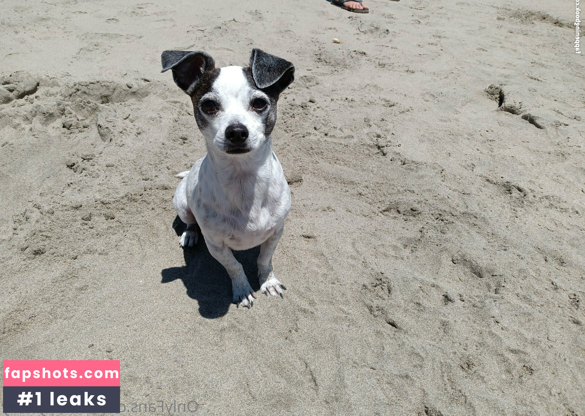 sneakykirby Nahé úniky fotek pouze od fanoušků #8 - Fapshots