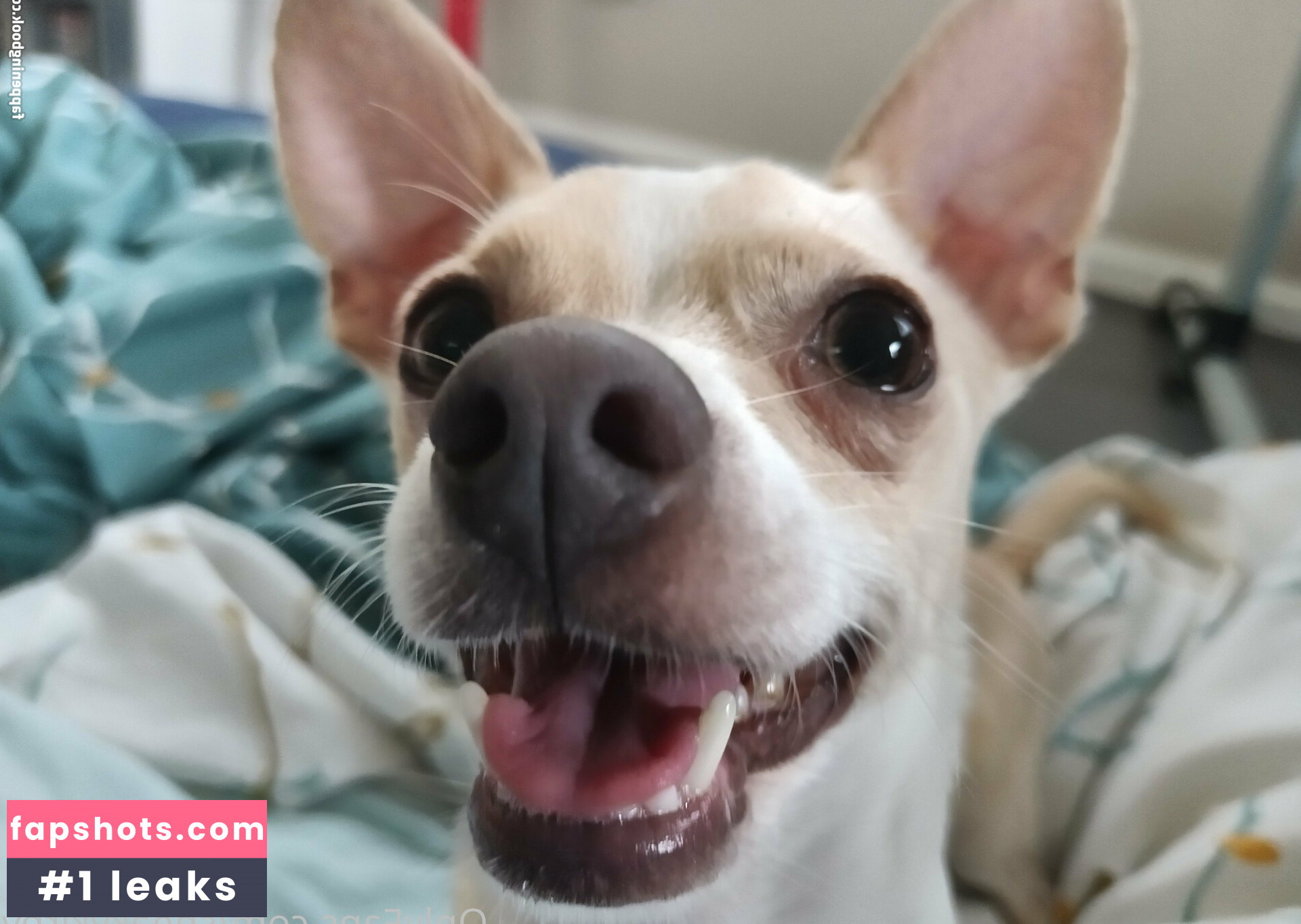 sneakykirby Nahé úniky fotek pouze od fanoušků #9 - Fapshots