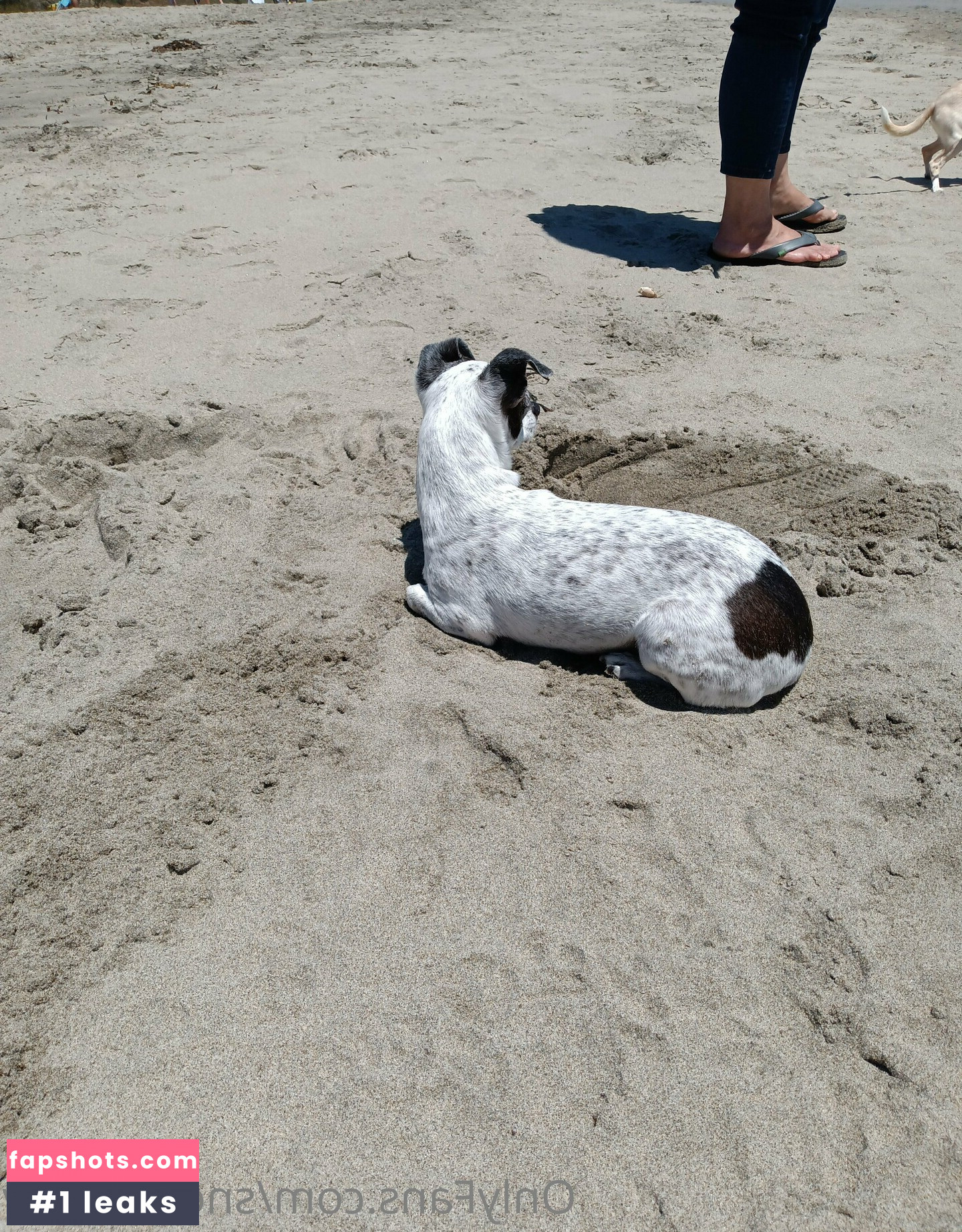 sneakykirby Nahé úniky fotek pouze od fanoušků #10 - Fapshots