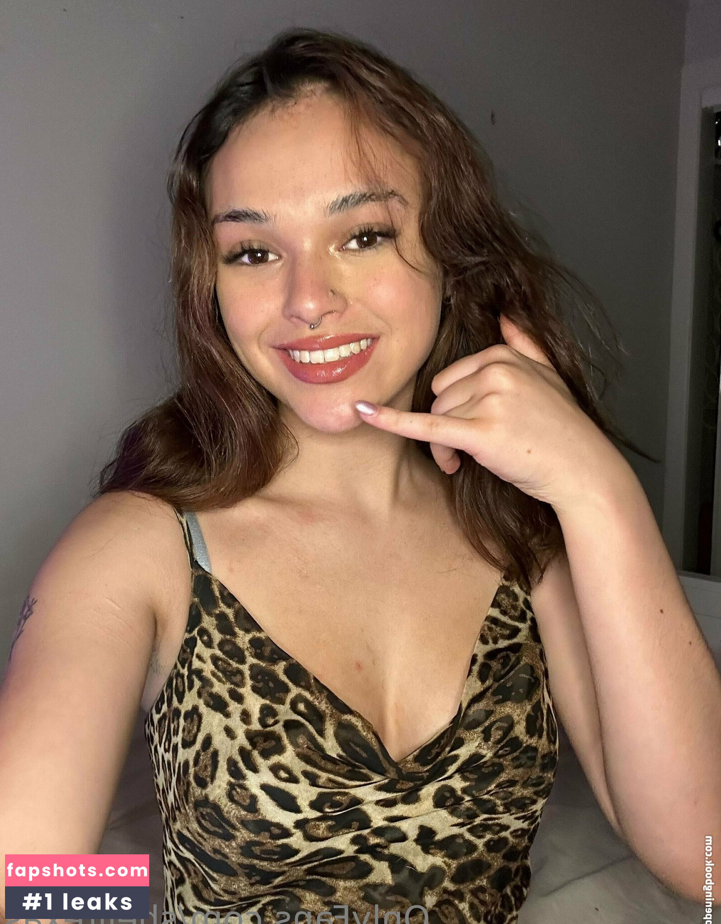 sneakyshell gallery photo #16