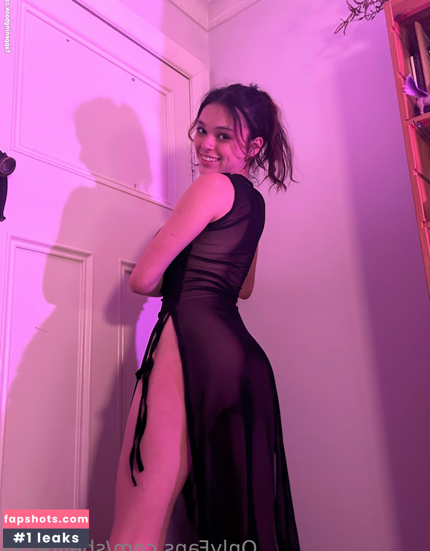 sneakyshell gallery photo #27