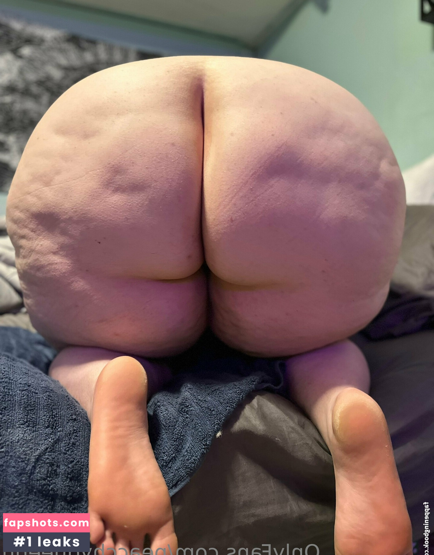 snowangelcake gallery photo #13