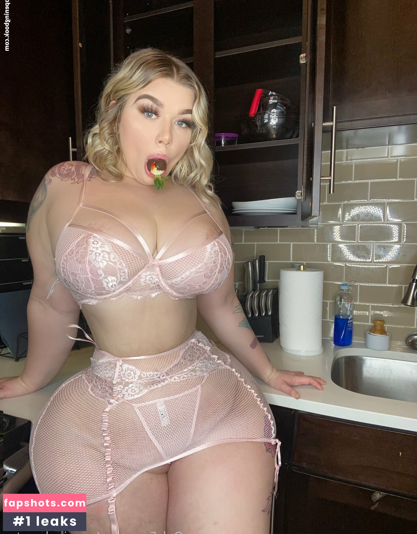 Snowinnhouston gallery photo #33