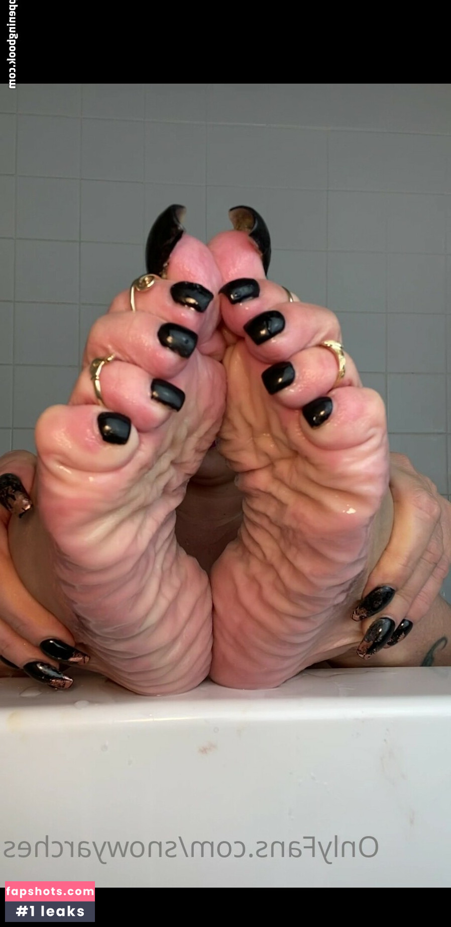 Snowy Arches gallery photo #8