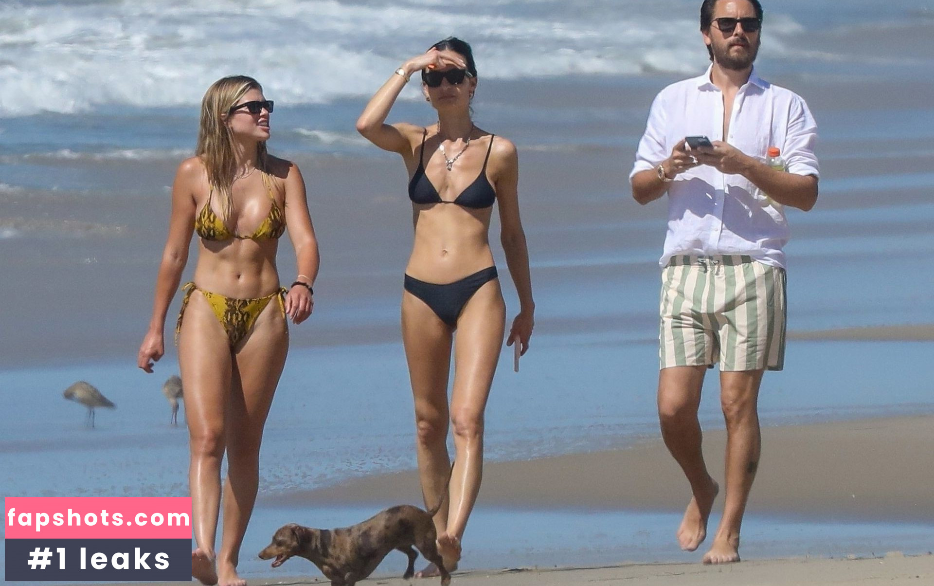 Sofia Richie gallery photo #599