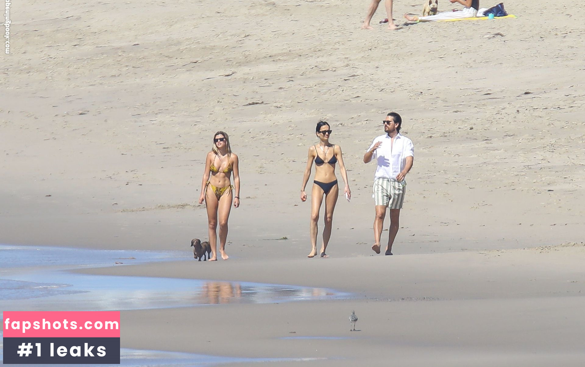 Sofia Richie gallery photo #607