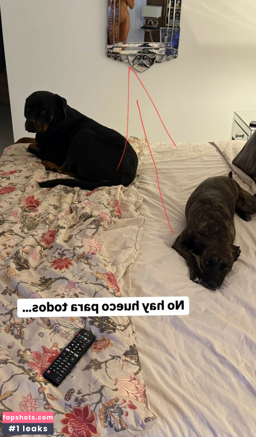 Sofia Suescun Nude Leaks OnlyFans Photos #2 - Fapshots