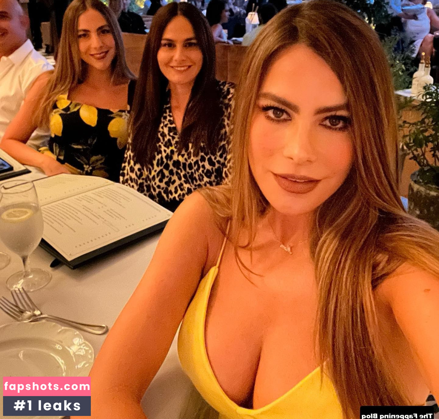 Sofía Vergara gallery photo #1109