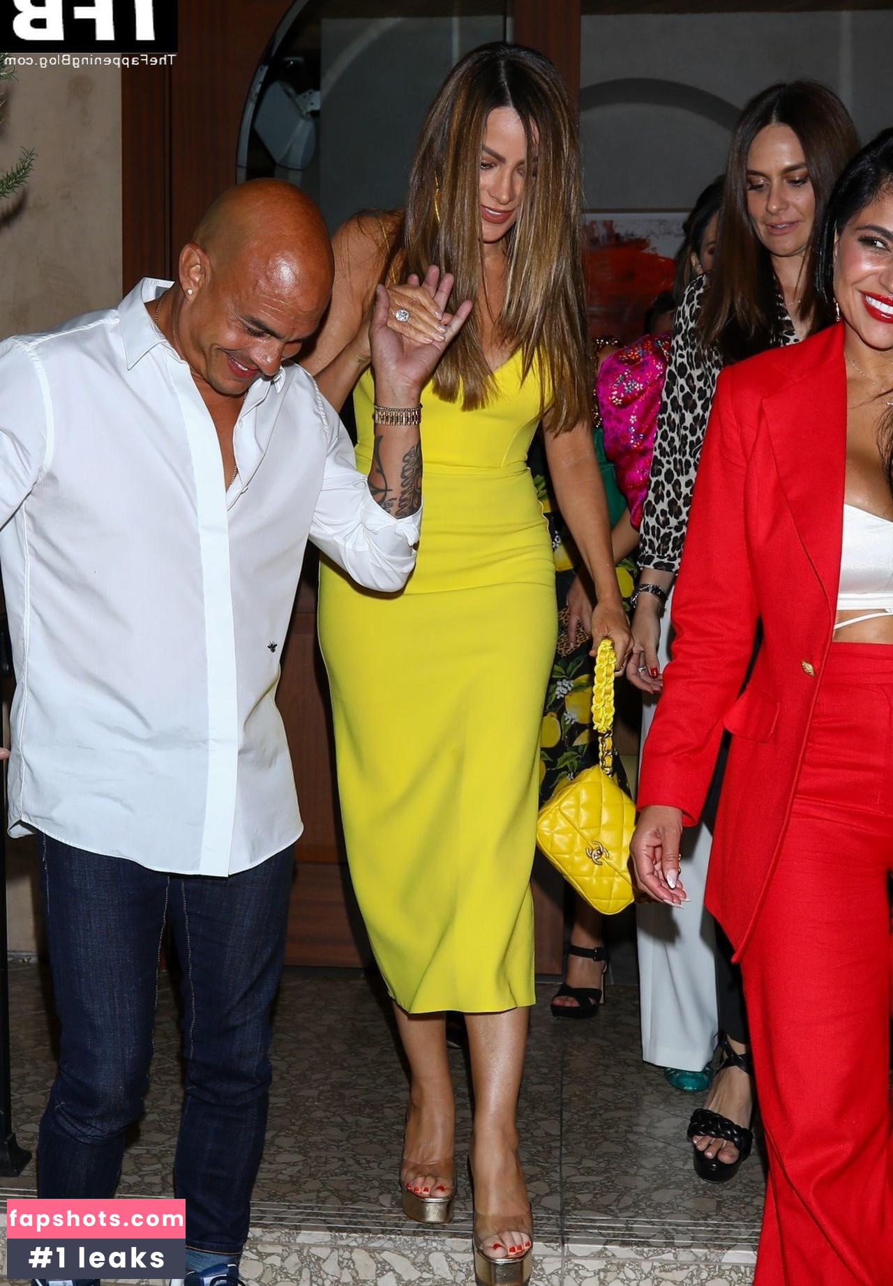 Sofía Vergara gallery photo #1329