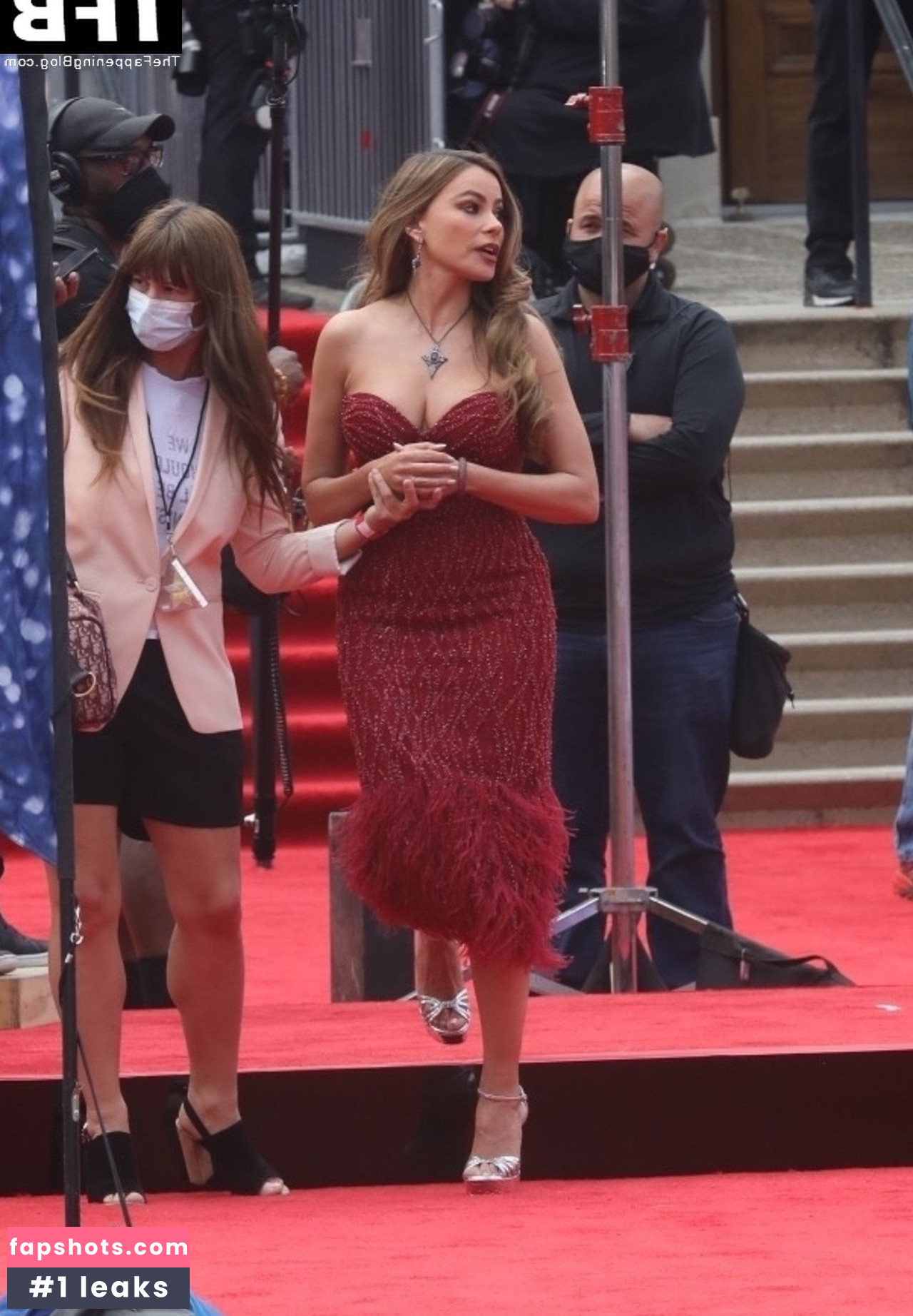 Sofía Vergara gallery photo #1452