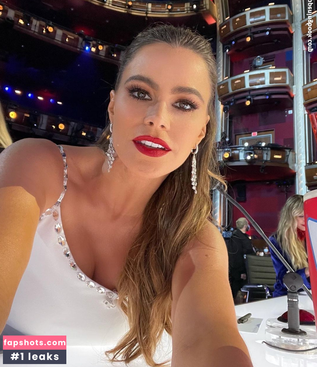 Sofía Vergara gallery photo #1665