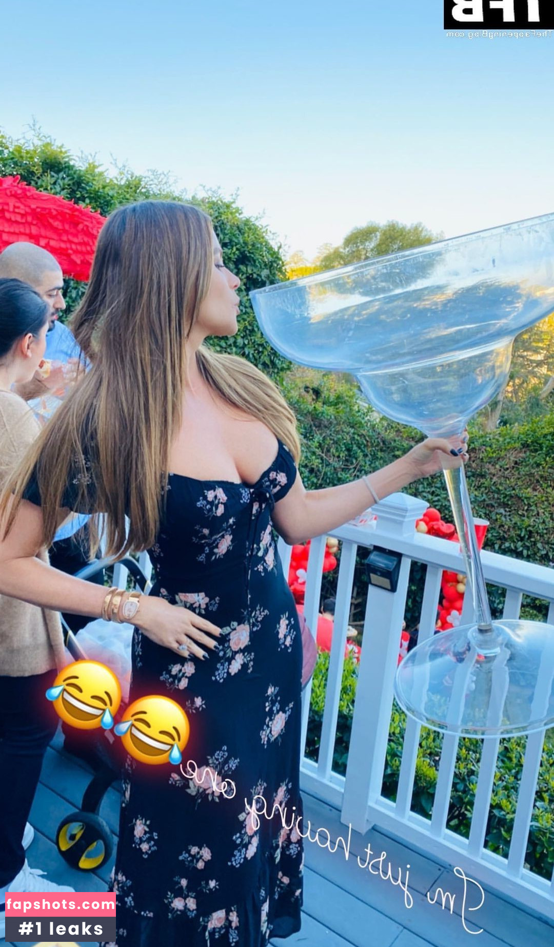 Sofía Vergara gallery photo #1745