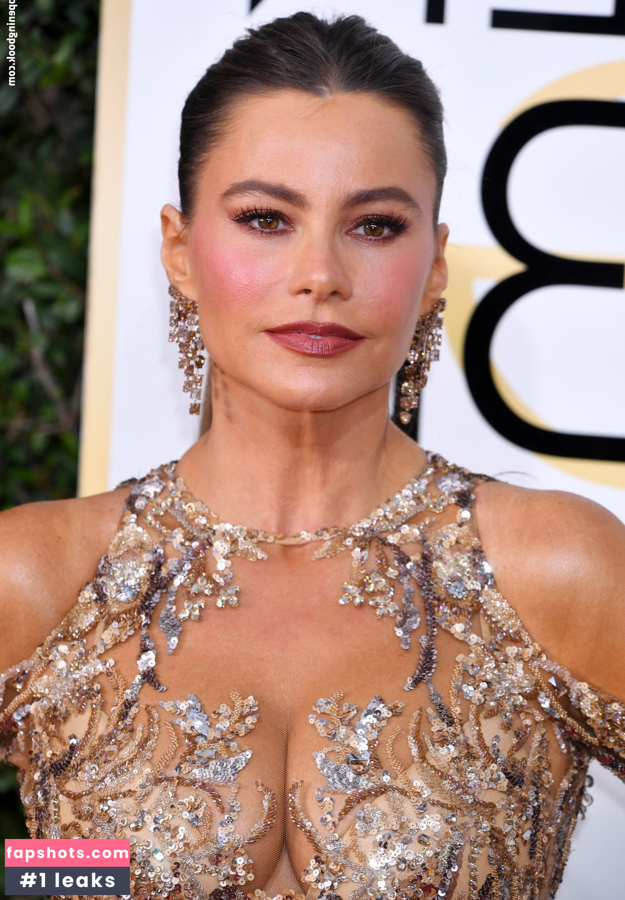 Sofía Vergara gallery photo #1790