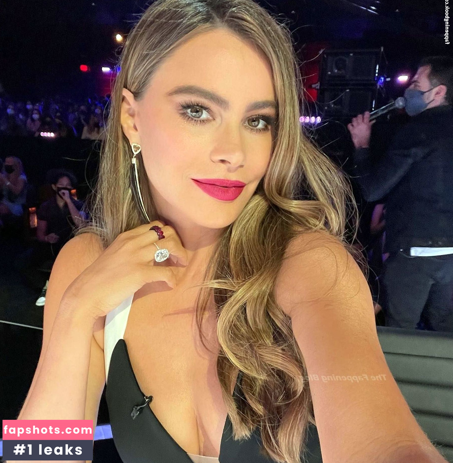 Sofía Vergara gallery photo #1844