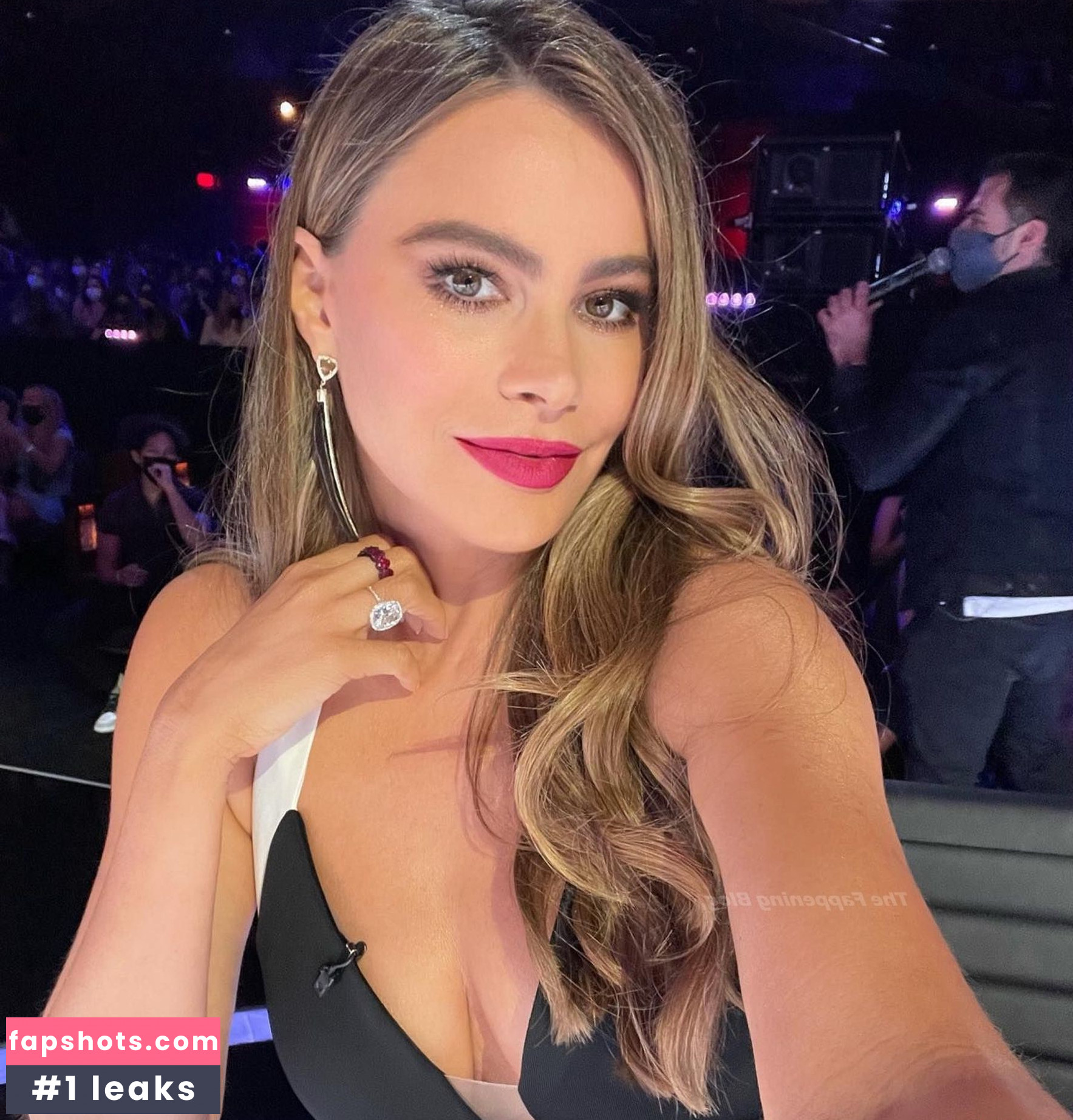 Sofía Vergara gallery photo #1861