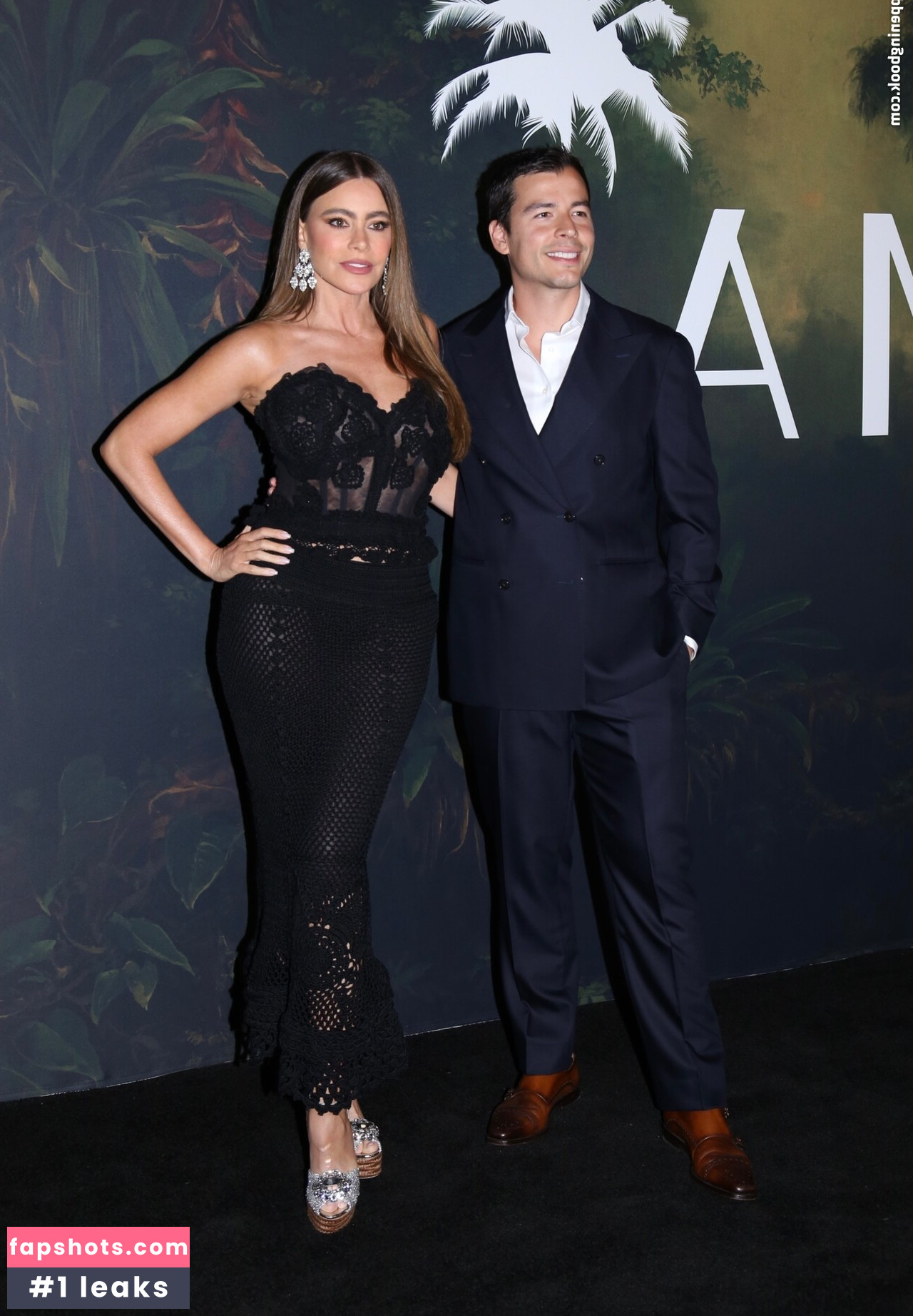 Sofía Vergara Nacktheit OnlyFans Fotos #405 - Fapshots