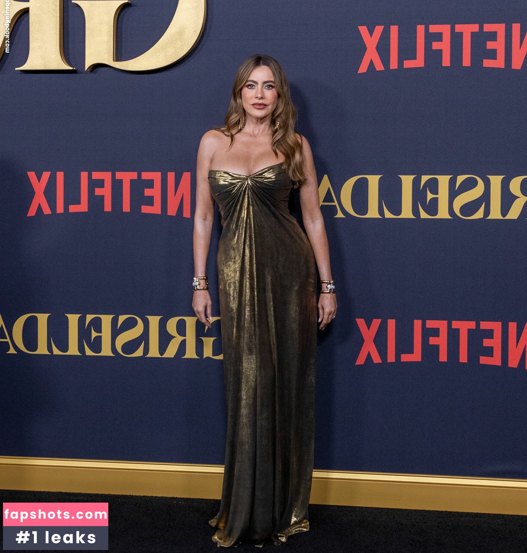 Sofía Vergara Nacktheit OnlyFans Fotos #618 - Fapshots