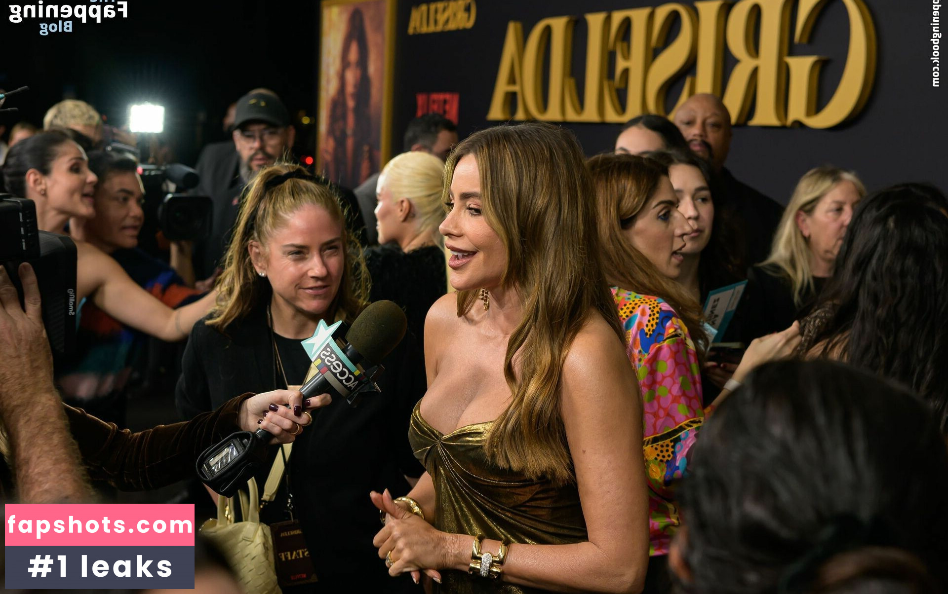 Sofía Vergara Nacktheit OnlyFans Fotos #642 - Fapshots