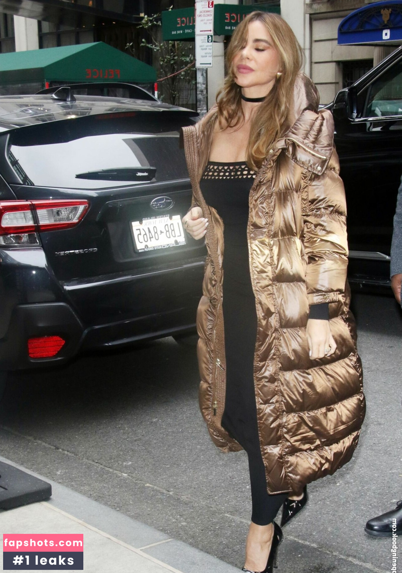 Sofía Vergara Nacktheit OnlyFans Fotos #699 - Fapshots