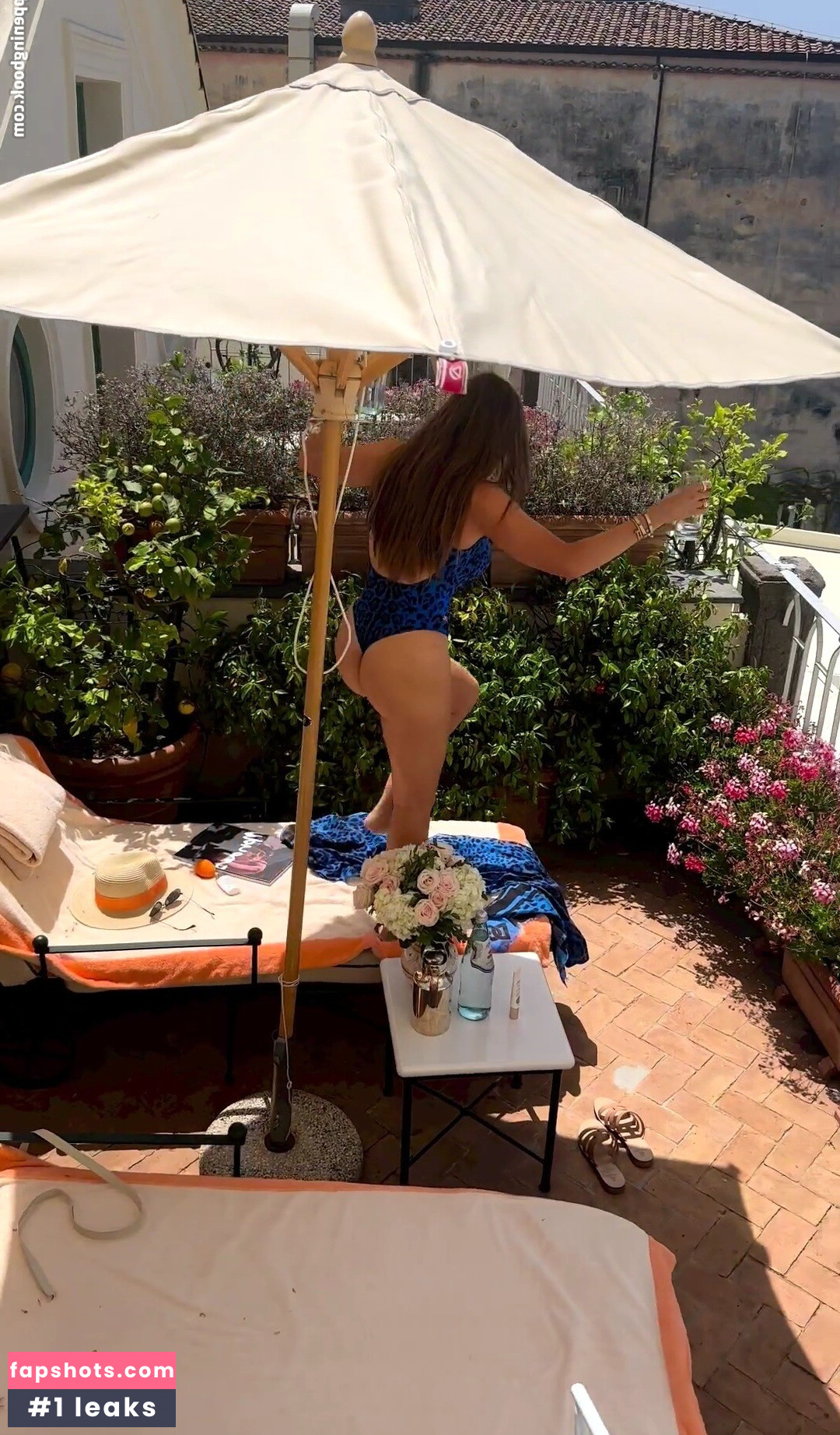 Sofía Vergara gallery photo #847