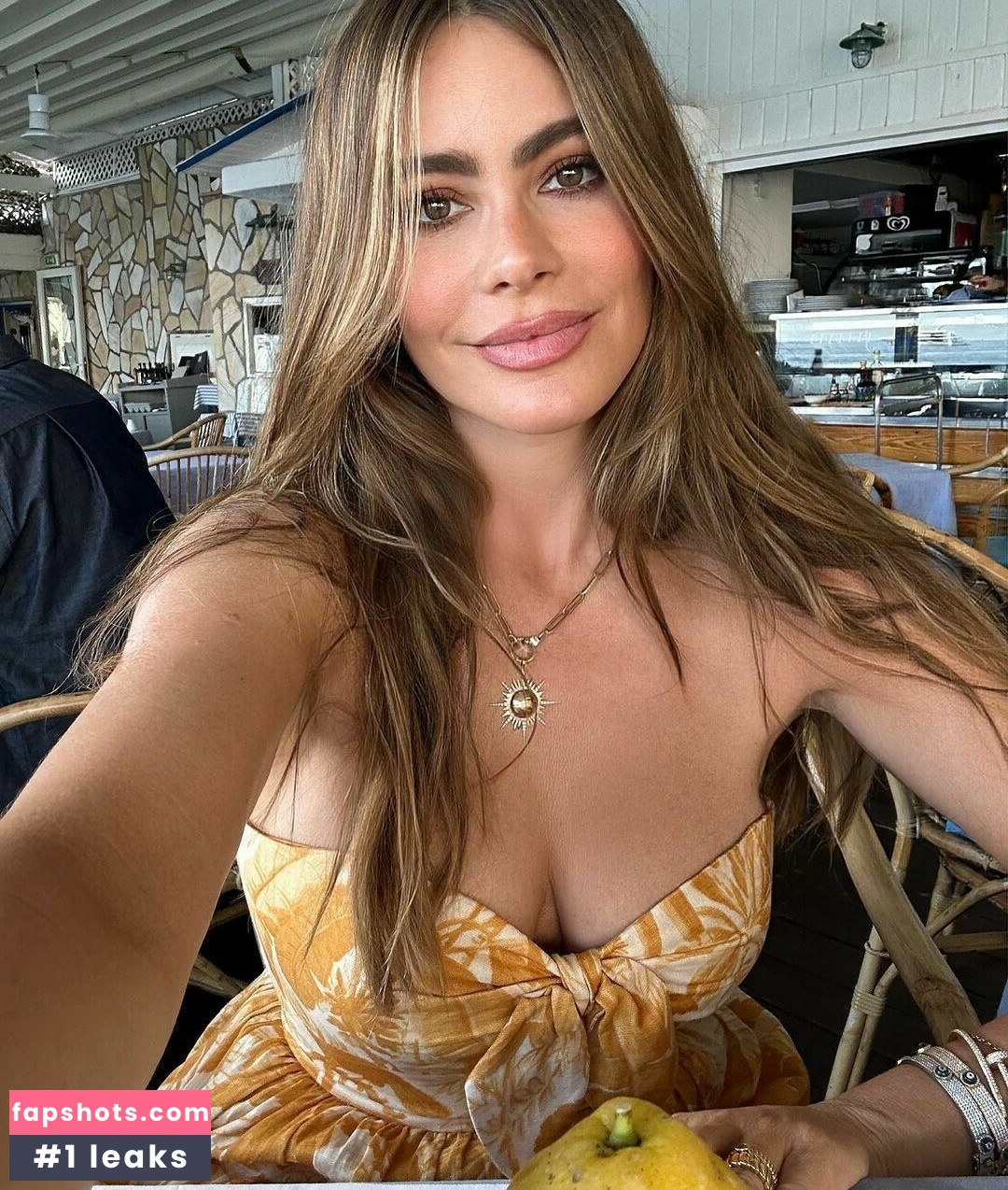 Sofía Vergara gallery photo #855