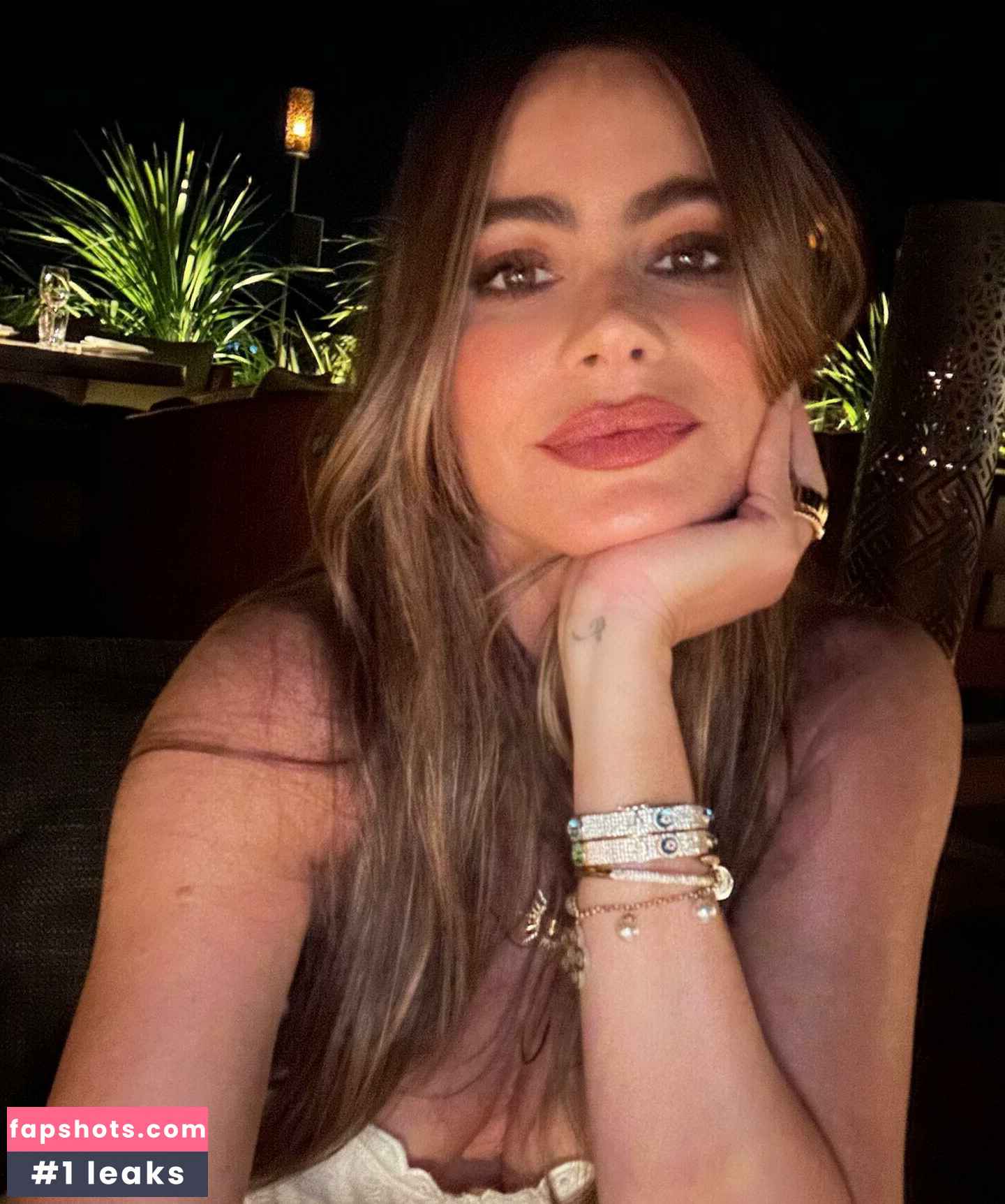 Sofía Vergara gallery photo #857