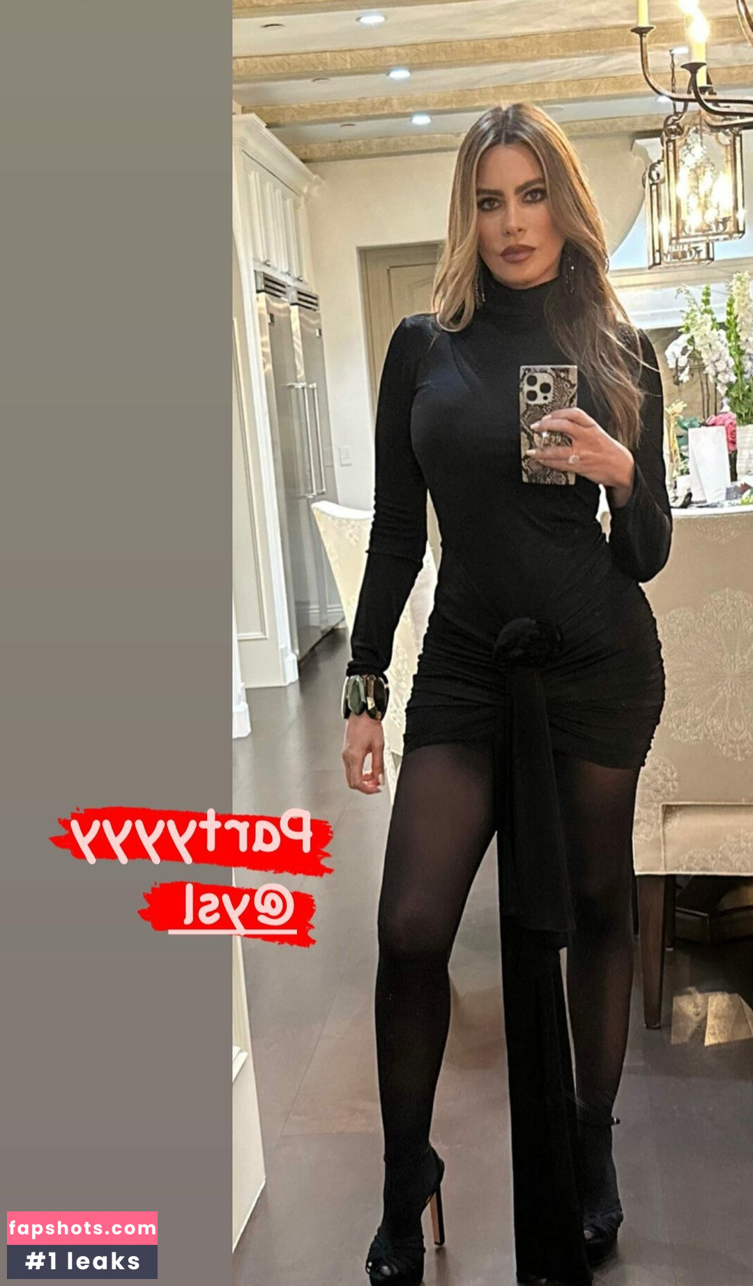 Sofía Vergara gallery photo #954