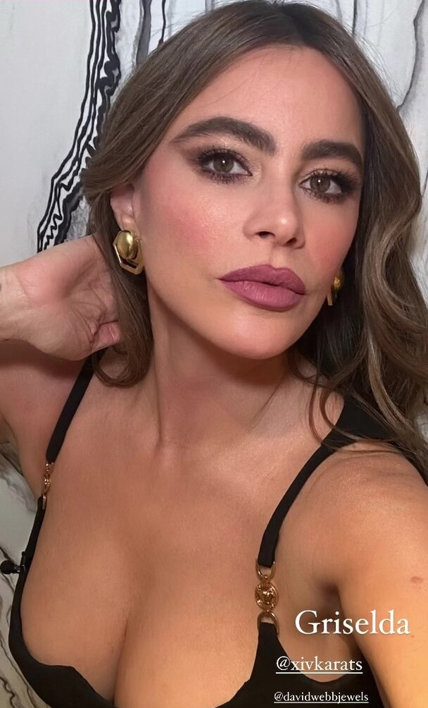 sofia-vergara Nude Leaks OnlyFans Photos #1018 - Fapshots