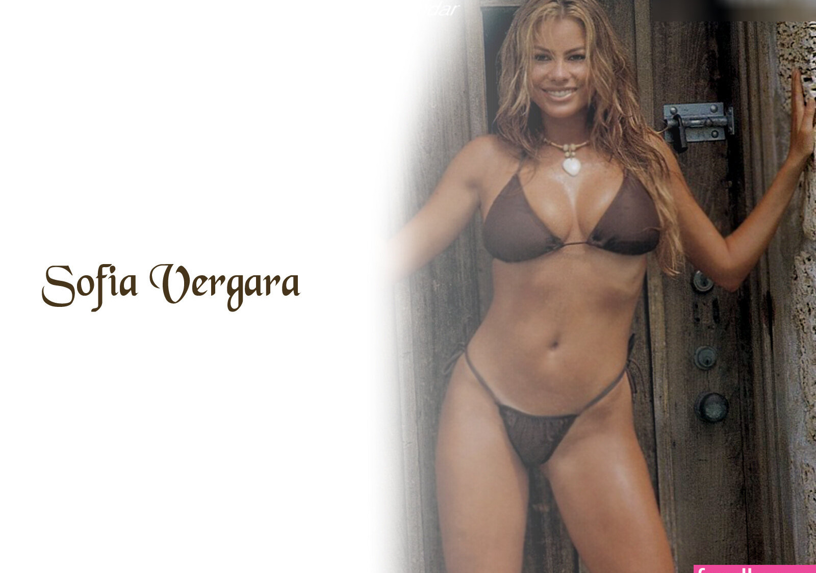 sofia-vergara gallery photo #1323