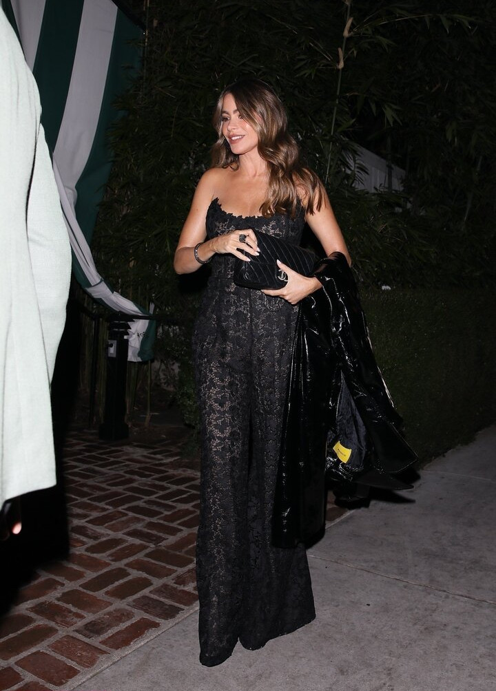 sofia-vergara gallery photo #1539