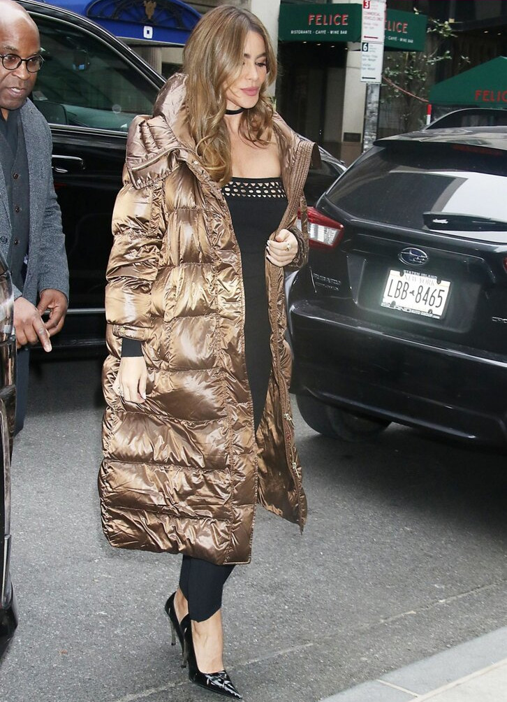 sofia-vergara gallery photo #1680