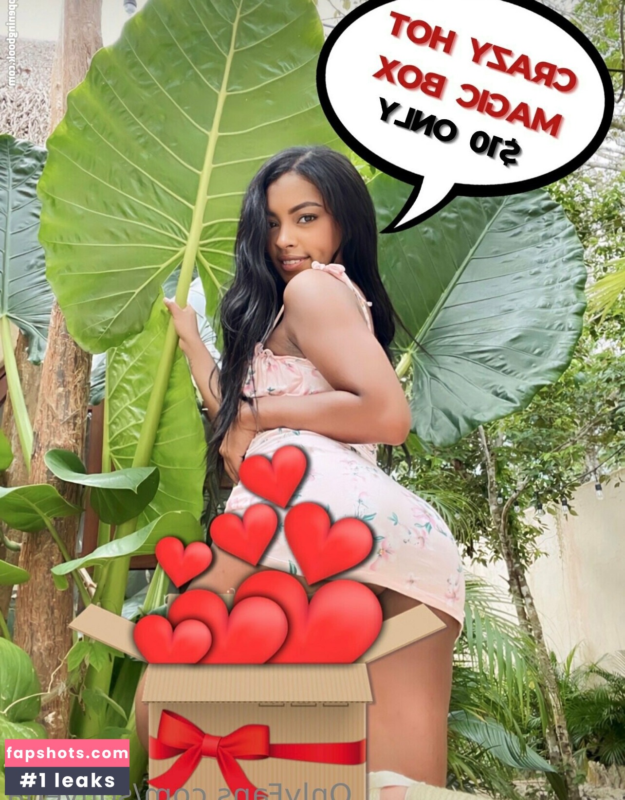 sofivega gallery photo #76